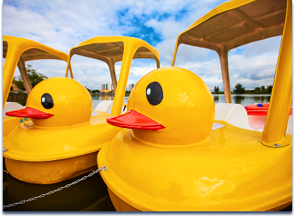 Duck paddle boats lined up and docked